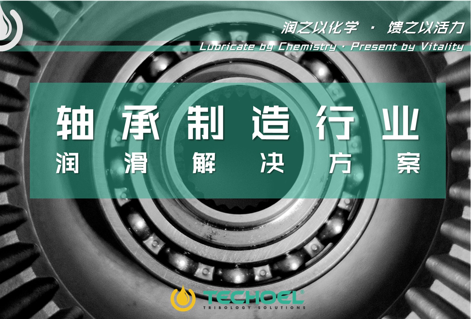 图片10