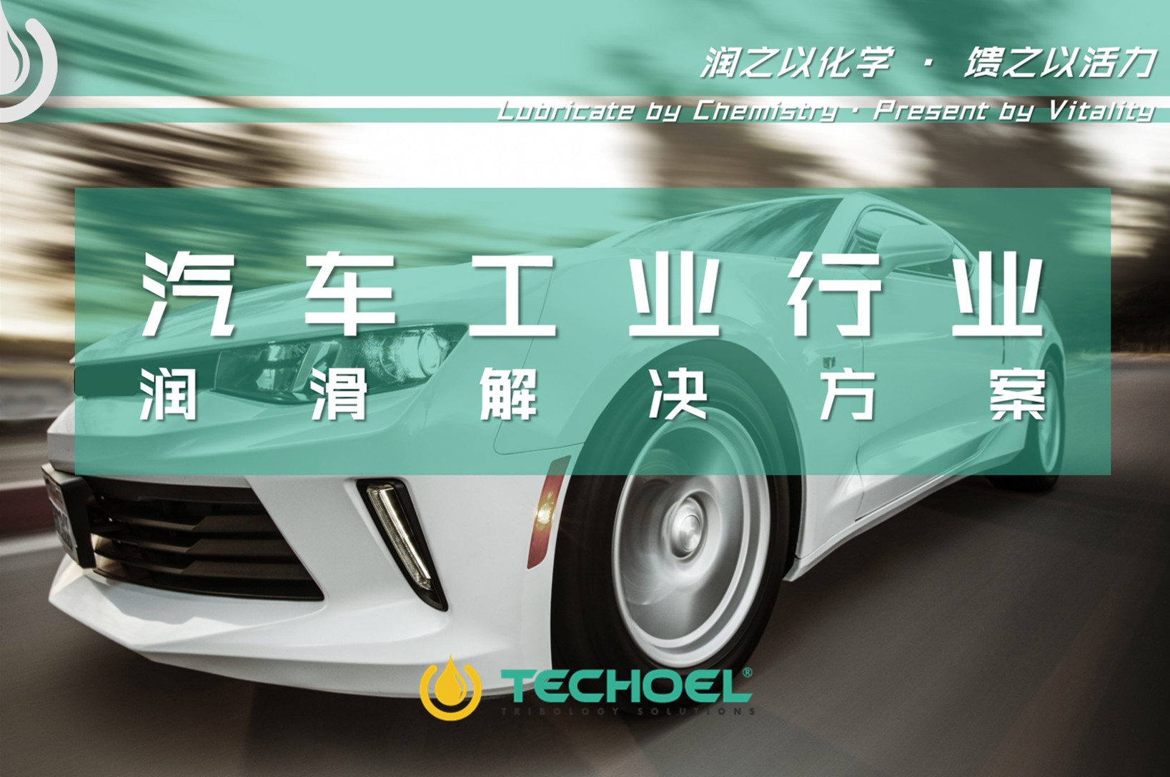 图片31